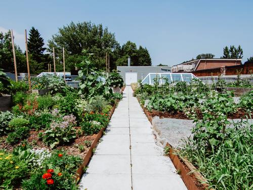 Roof garden with vegetable patches